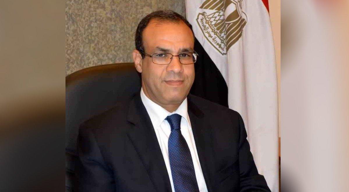 بدر عبد العاطي وزير الخارجية: الدولة المصرية راسخة وقوية - عرب تريبيون